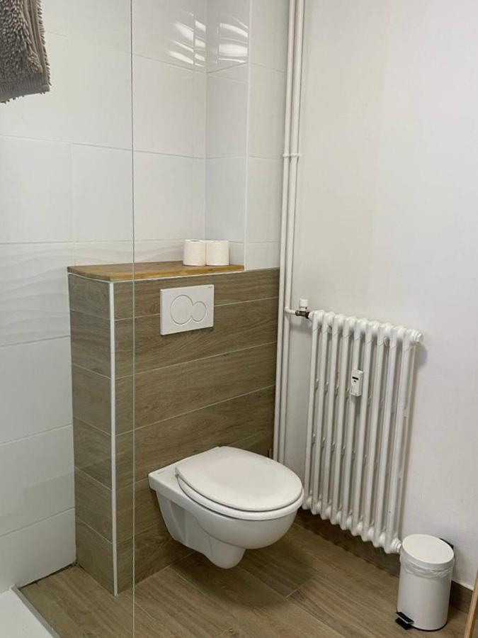 Le Tranquille - Calme - Parking Prive Apartment Ambilly Exterior foto